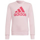 Adidas Παιδικό φούτερ G BL SWT